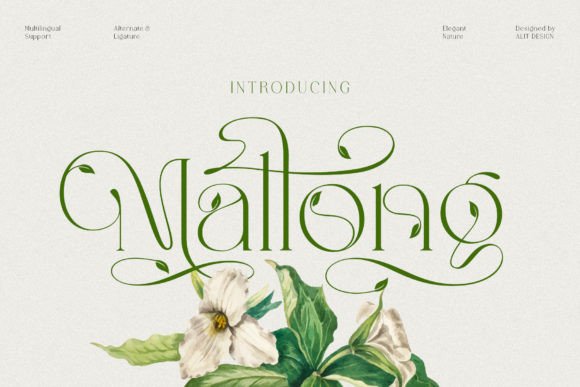 Mallong: The Serif Font Blending Classic Elegance with Organic Charm