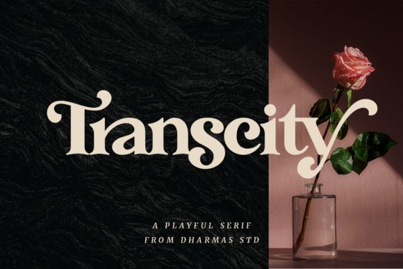 Transcity: Where Boldness Meets Timeless Elegance