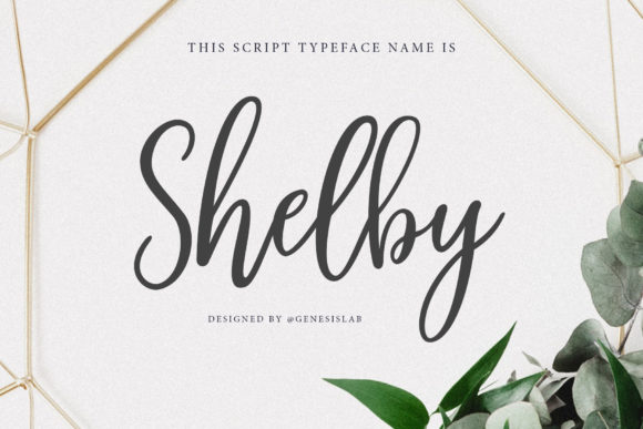 Why Shelby Script Feels Like a Designer's Secret Weapon